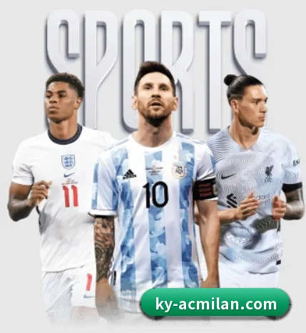 五大服务分区,信息按项目分类